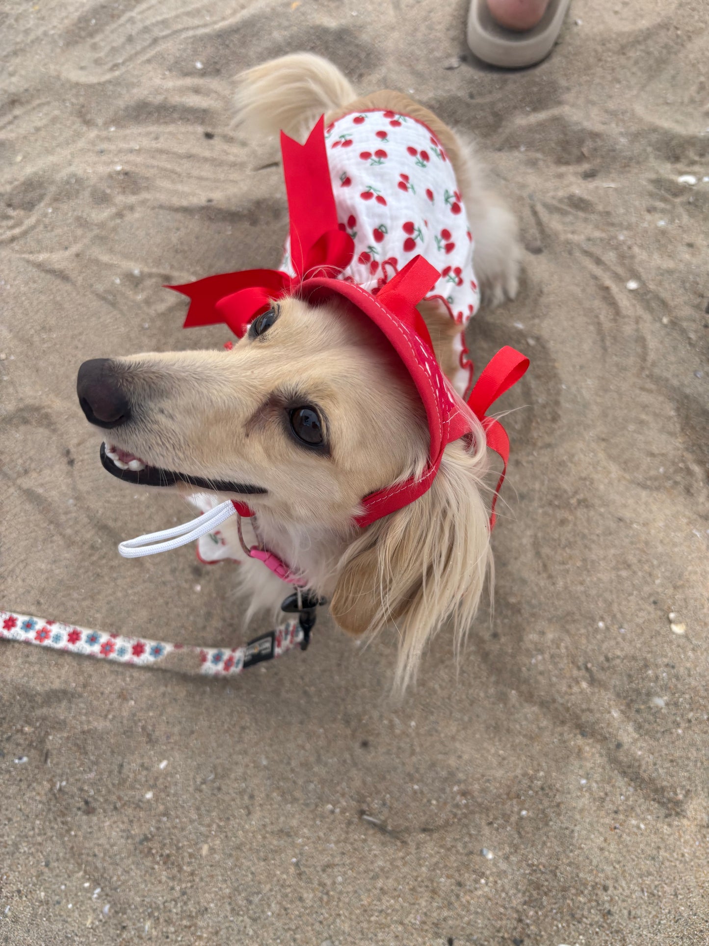 Add On Ribbon Bows Pair For Hats; “Coco Effect” ; Mini Coco Chanel Inspired