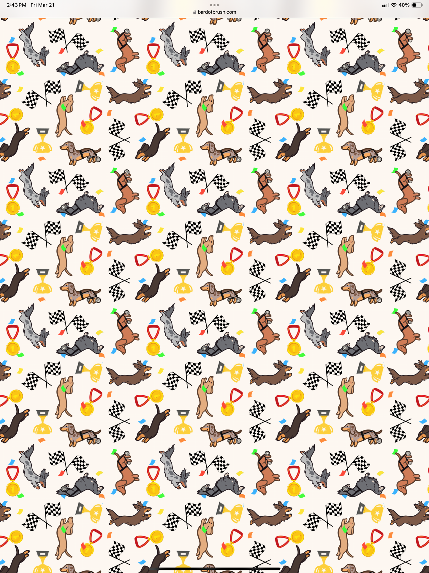Racing Doxies | Bows | Bandanas | Butterfly Bow | Hat | Collars & More