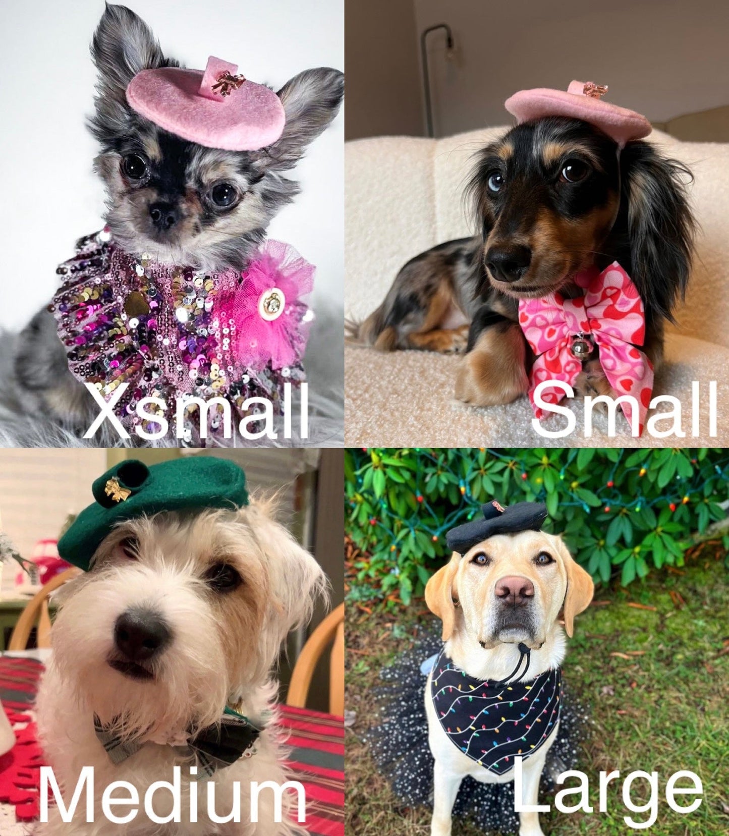 Beret Hat | Fashion Hat | Winter Outfit | Dog Hat