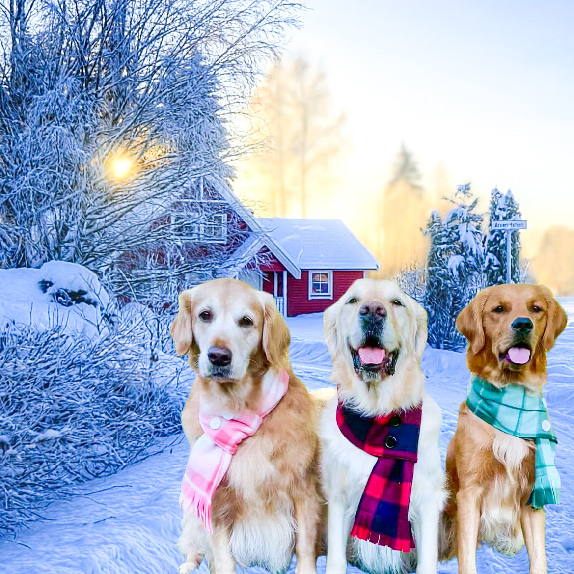 Adjustable Winter Dog Scarf | Fleece Scarf | Plush Fleece | Hassle free Dog Scarf | Adjustable Pet Scarf| Dog Neck Warmer | Dog Winter Clothes