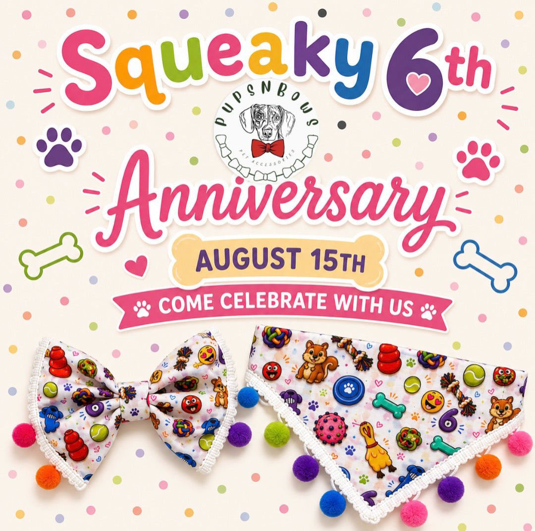 Squeaky 6 Anniversary