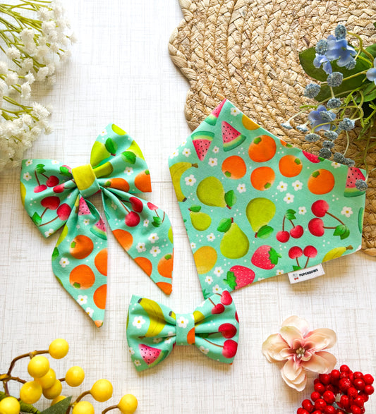 Fruit Salad | Bows | Bandanas | Butterfly Bow | Hat & More