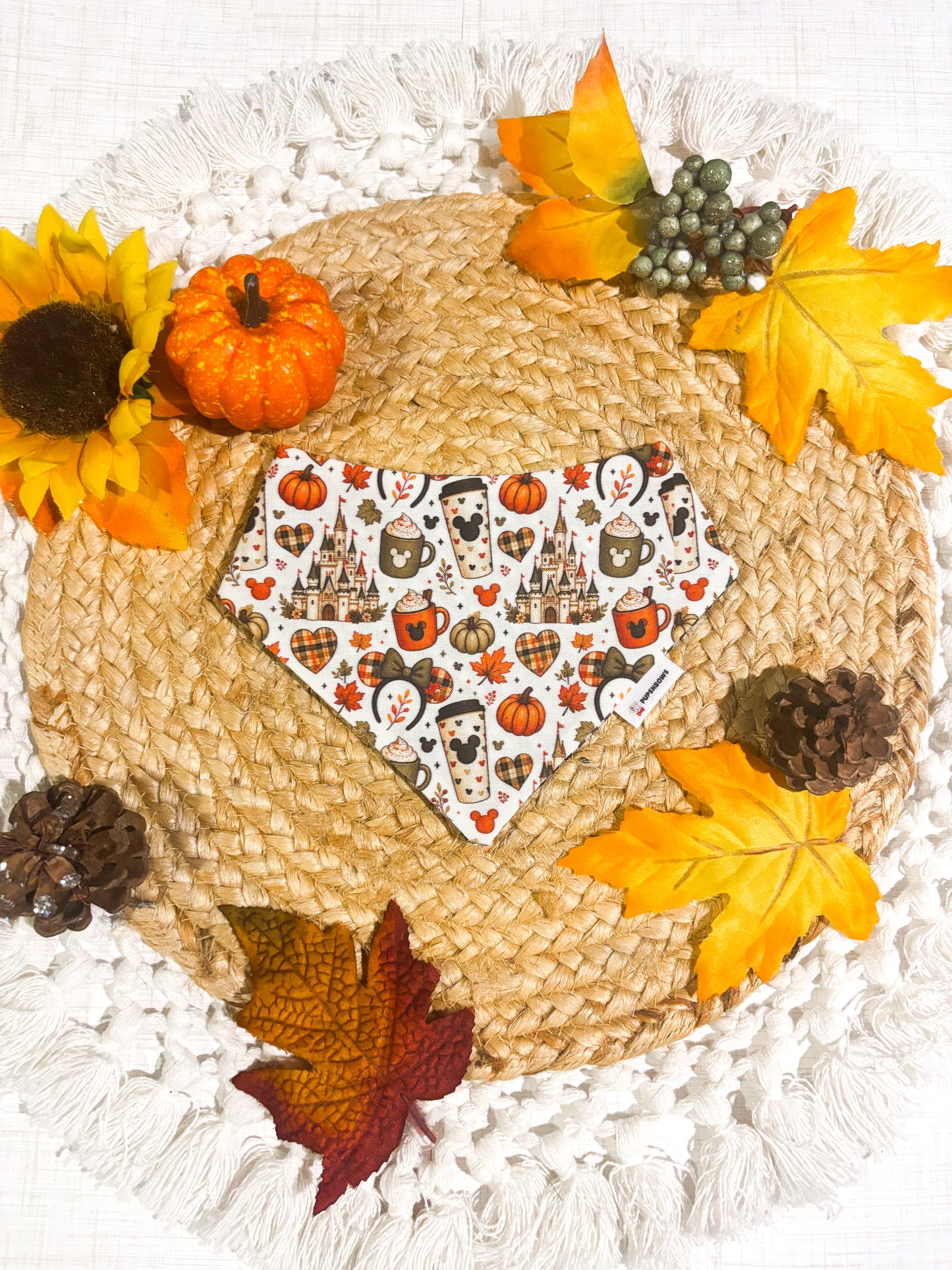Enchanted Fall | Bows | Bandanas | Collar | Hat & More