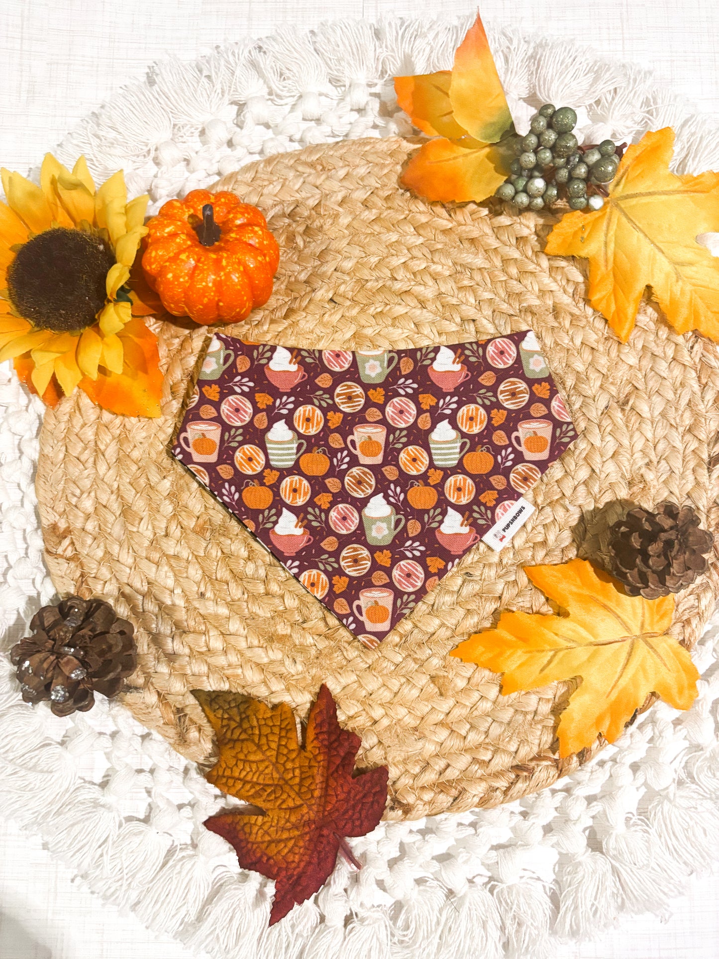 Cozy Pumpkin Cafe | Bows | Bandanas | Butterfly Bow | Hat & More
