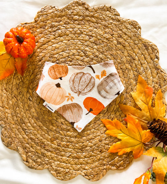Pumpkin Patch | Bows | Bandanas | Butterfly Bow | Hat | Collars & More