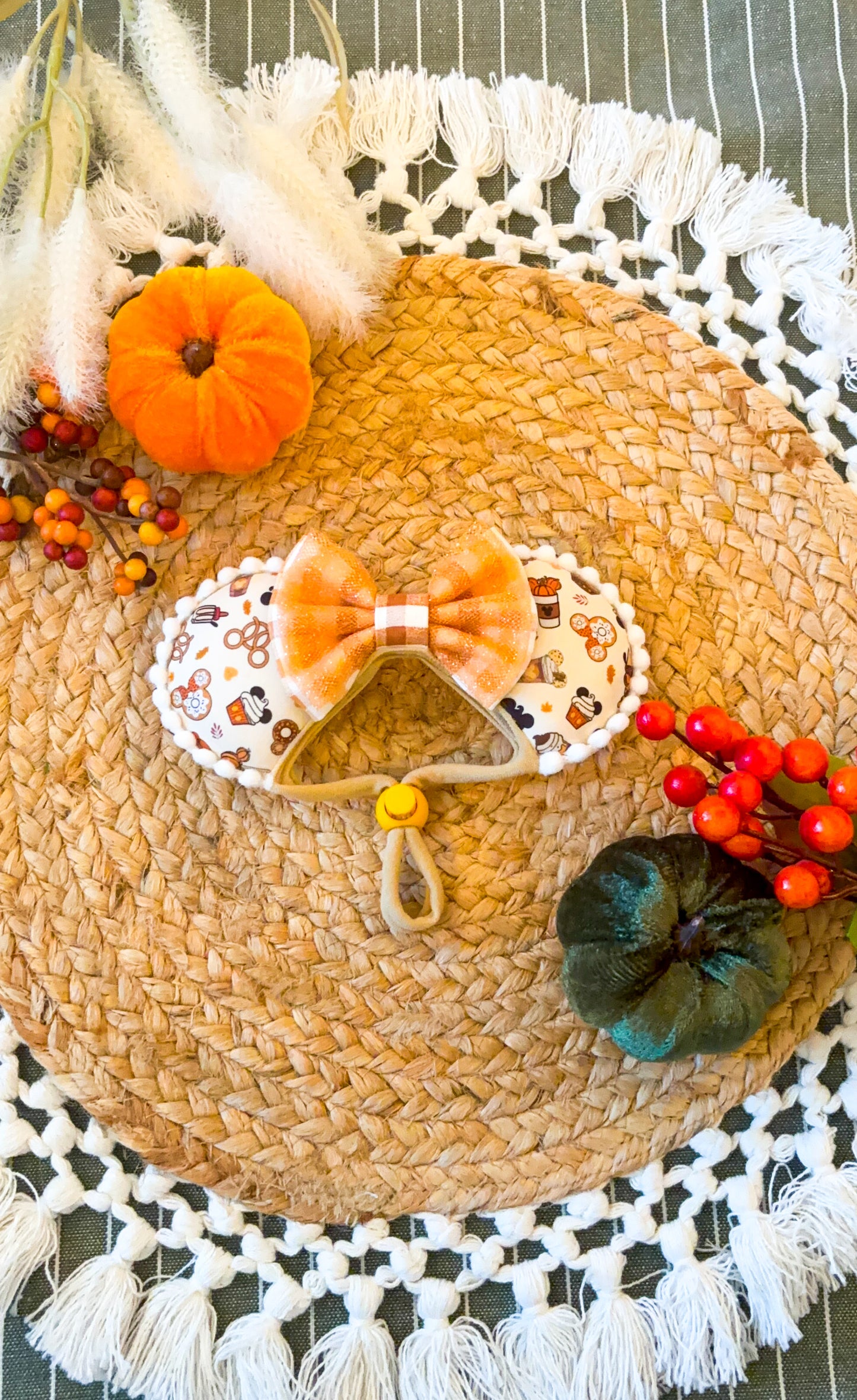 Fall Disney Snack Ears