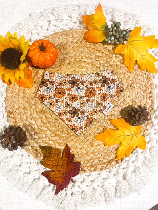 Autumn Wildflowers | Bows | Bandanas | Collar | Hat & More