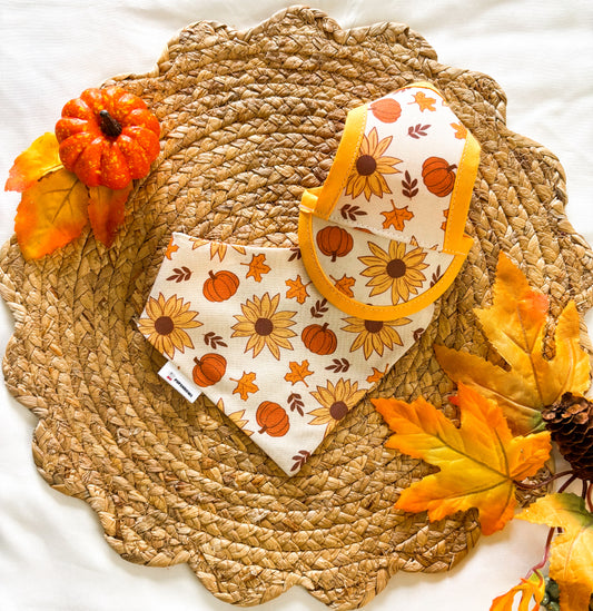 Sunflower & Pumpkin Fields | Bows | Bandanas | Butterfly Bow | Hat | Collars & More