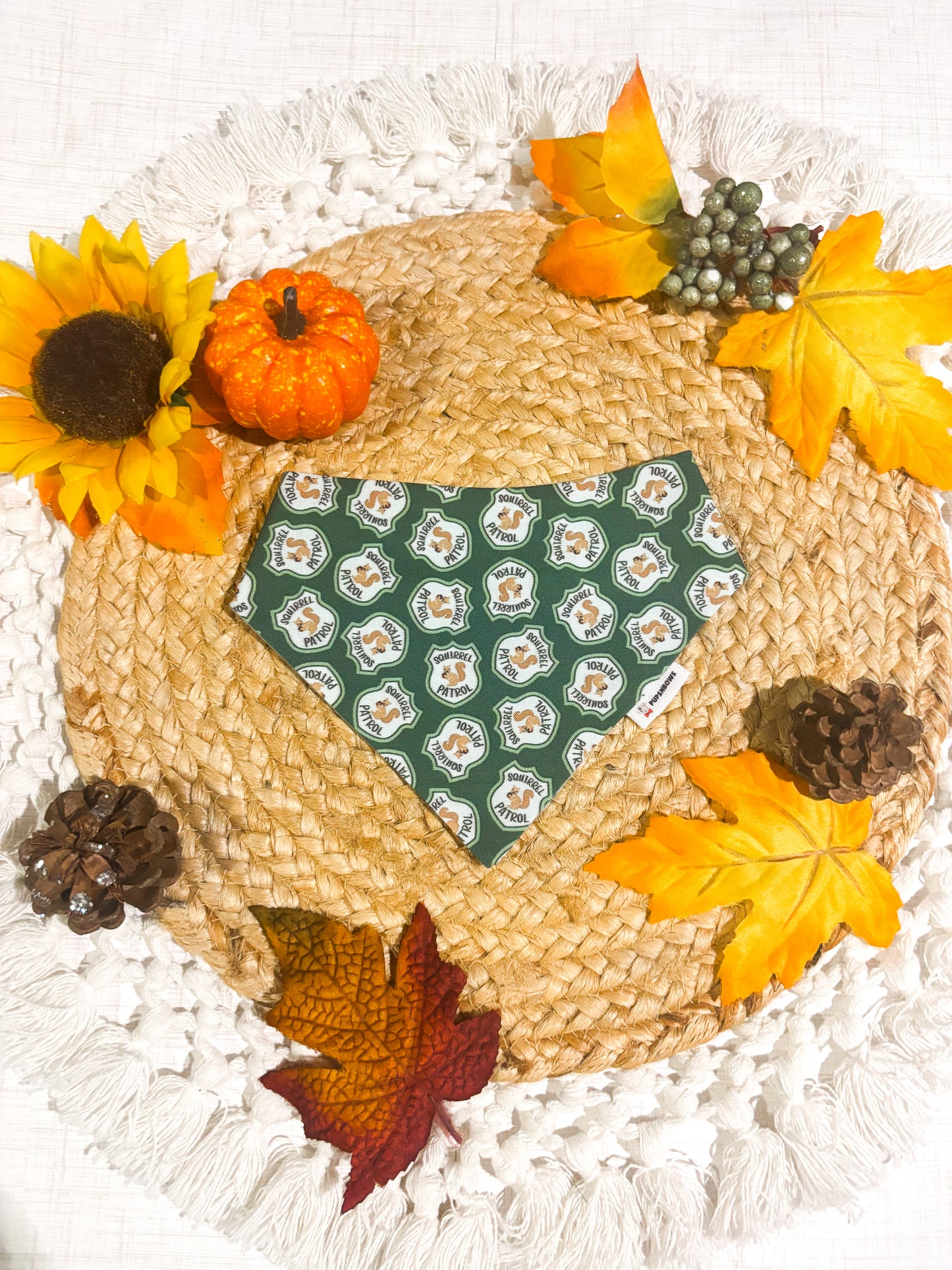 Squirrel Patrol | Bows | Bandanas | Collar | Hat & More