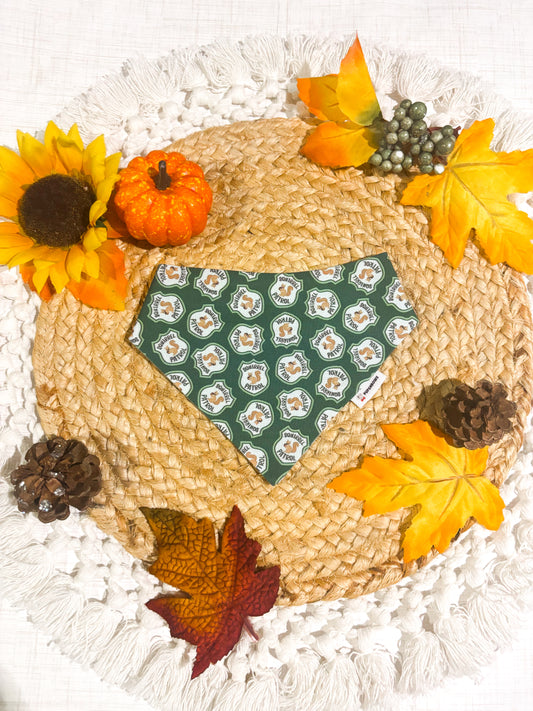 Squirrel Patrol | Bows | Bandanas | Collar | Hat & More