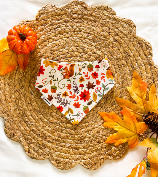 Autumn Vibes | Bows | Bandanas | Butterfly Bow | Hat | Collars & More