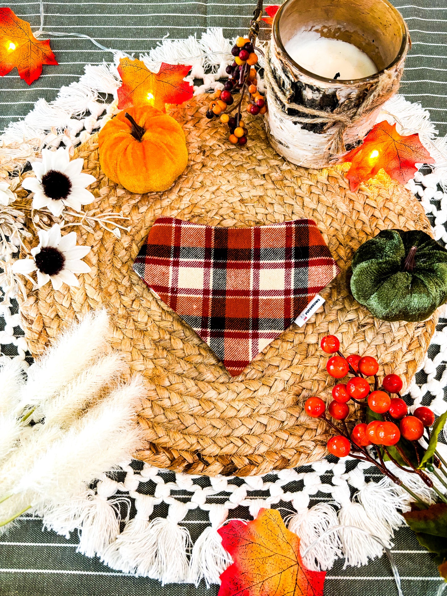 Fall Plaid | Bows | Bandanas | Butterfly Bow | Hat | Collars & More