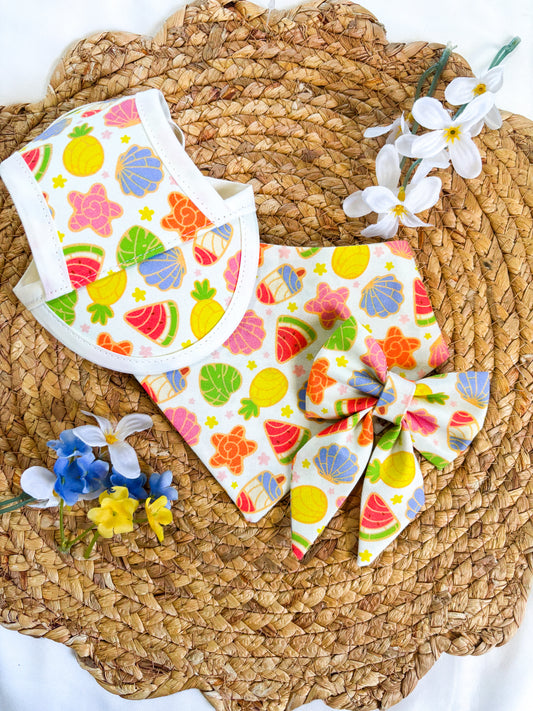 Tropical Concha | Bows | Bandanas | Butterfly Bow | Hat | Collars & More
