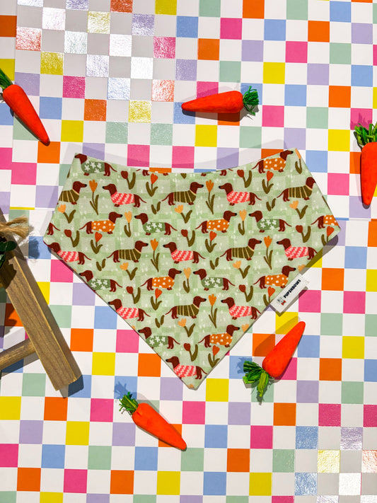 Blooming Doxie Garden | Bows | Bandanas | Butterfly Bow | Hat | Collars & More