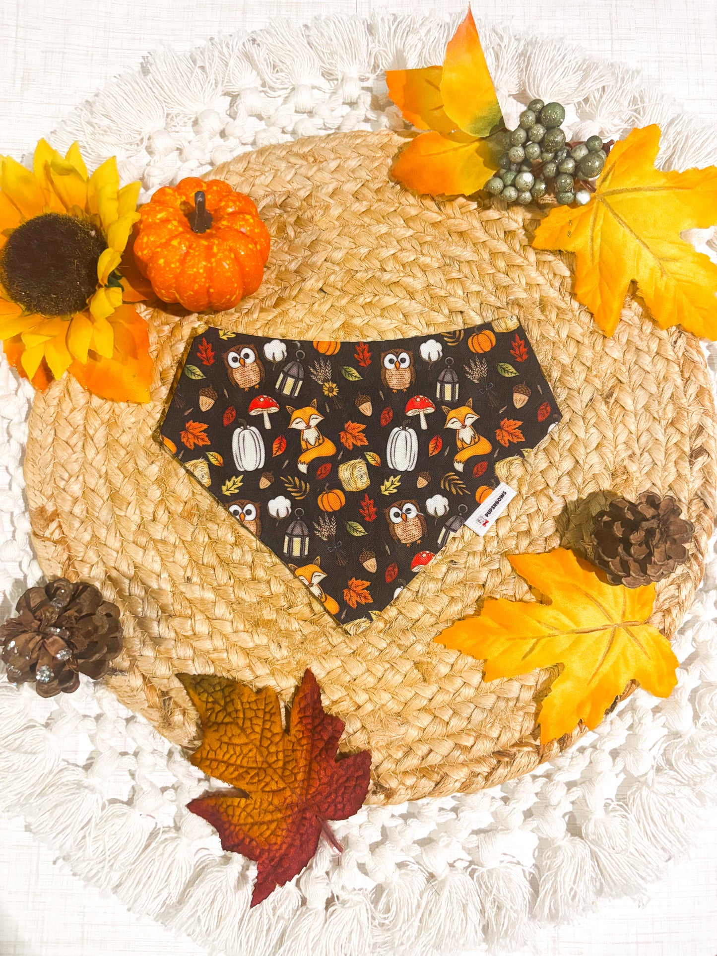 Woodland Whimsy | Bows | Bandanas | Butterfly Bow | Hat & More