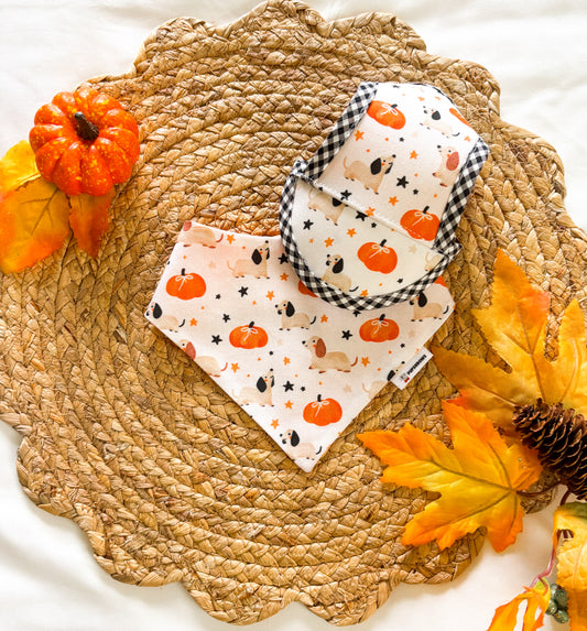 Pumpkin & Doxies | Bows | Bandanas | Butterfly Bow | Hat | Collars & More