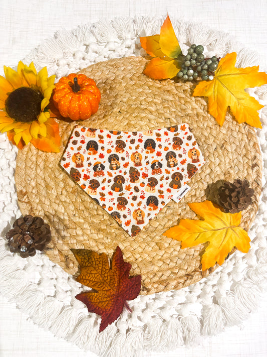 Fallin’ for Wieners | Bows | Bandanas | Collar | Hat & More
