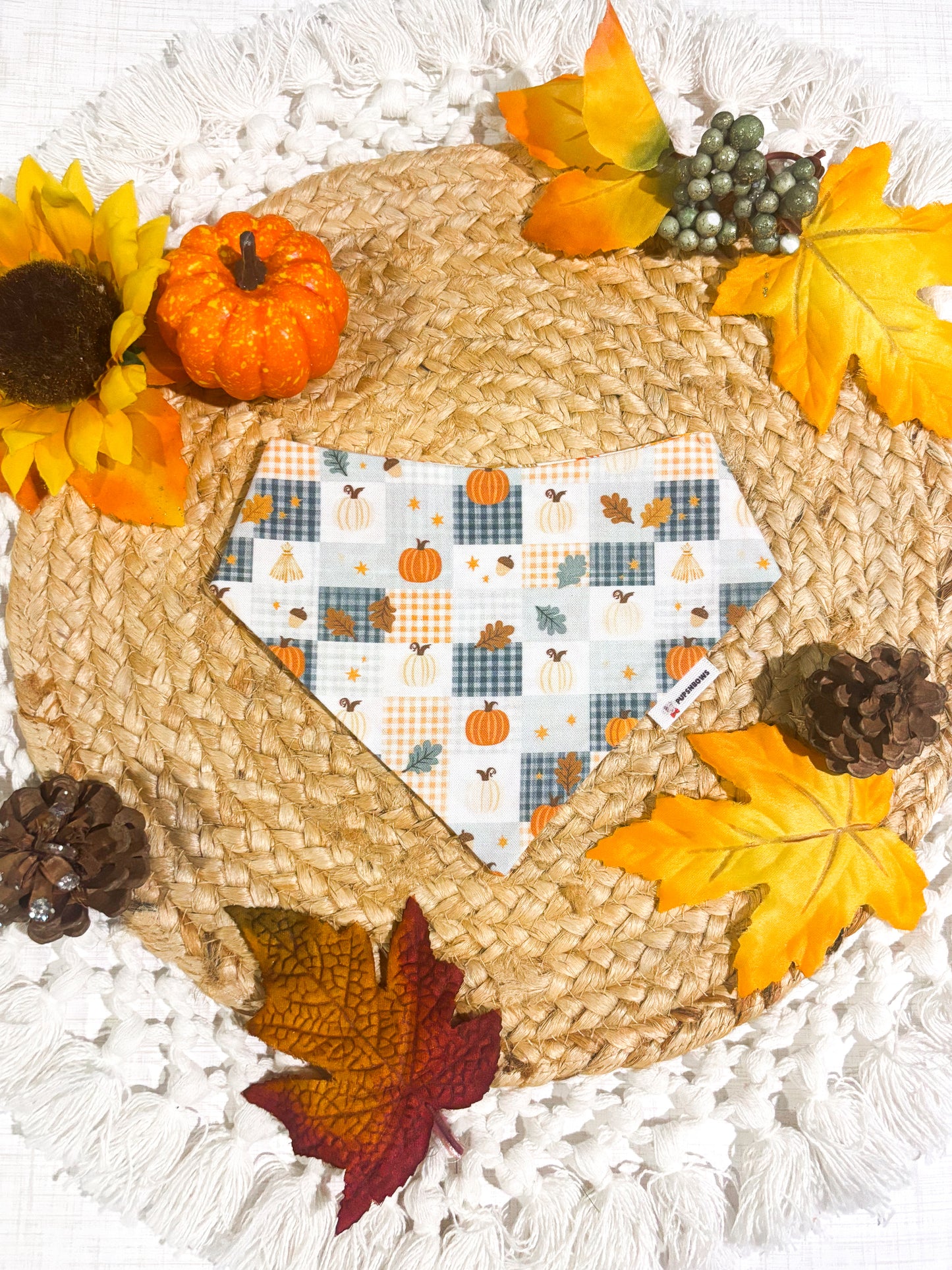 Harvest Patchwork | Bows | Bandanas | Collar | Hat & More