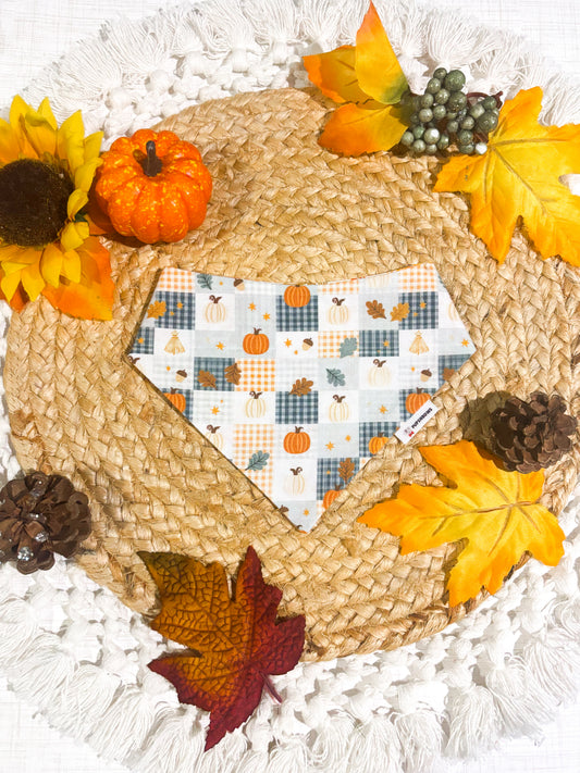 Harvest Patchwork | Bows | Bandanas | Collar | Hat & More