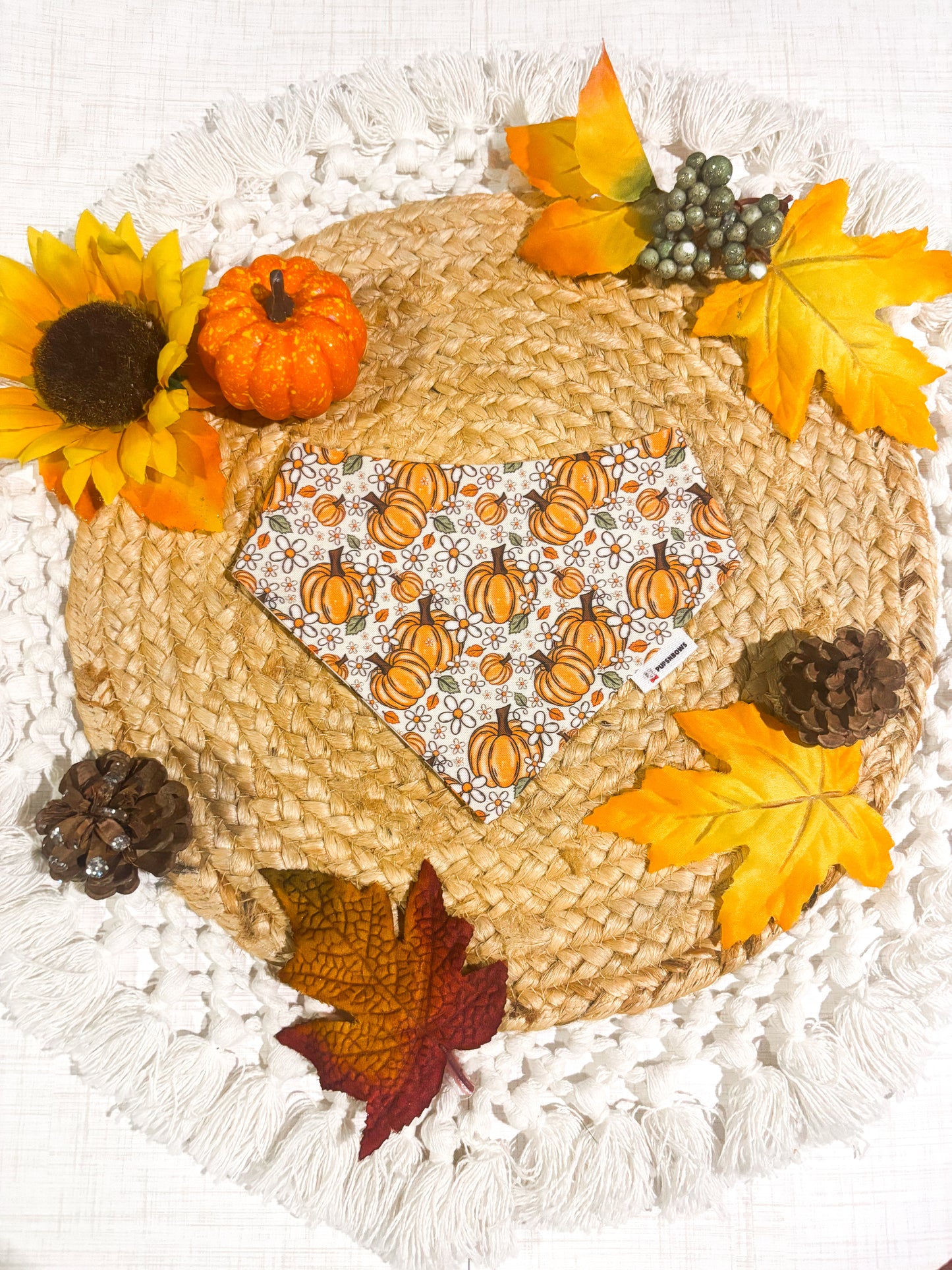 Pumpkin Bloom | Bows | Bandanas | Collar | Hat & More