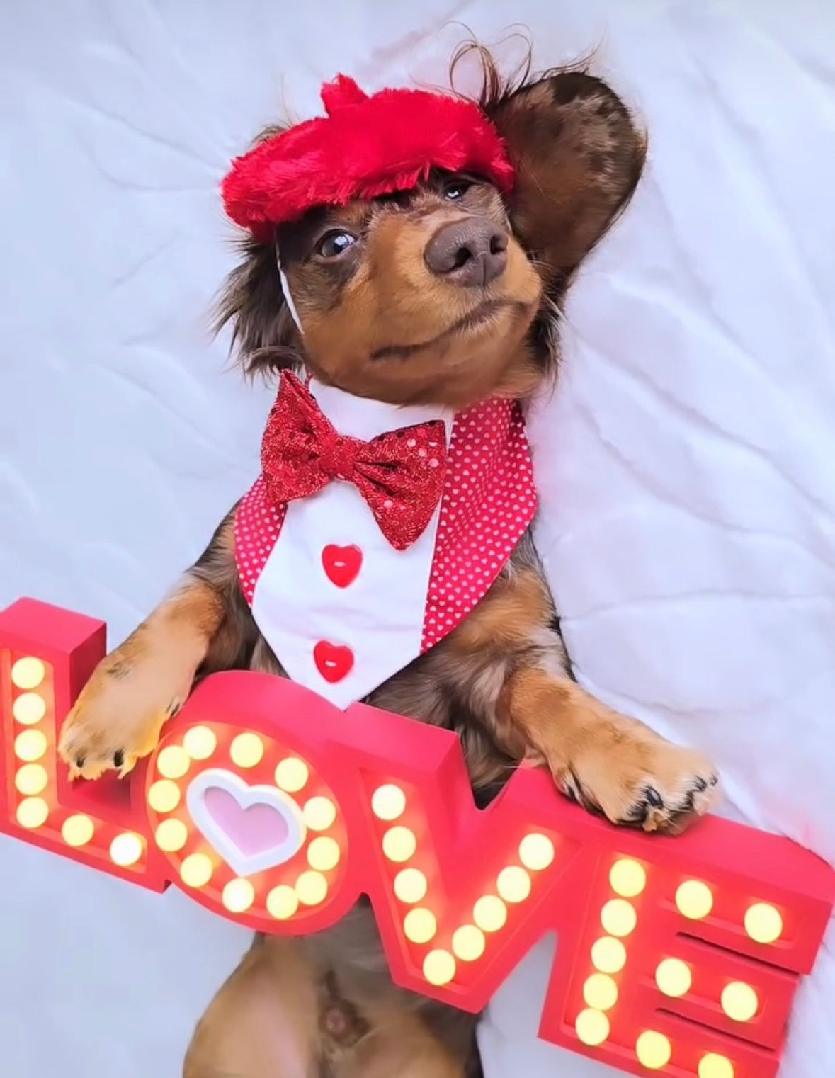 Fur Beret Hat | Fashion Hat | Soft hat