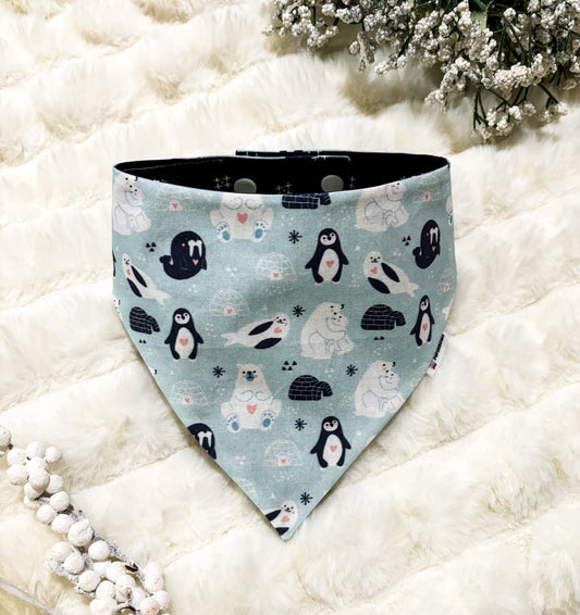 Winter Animals | Bows | Bandanas | Butterfly Bow | Hat | Collars & More