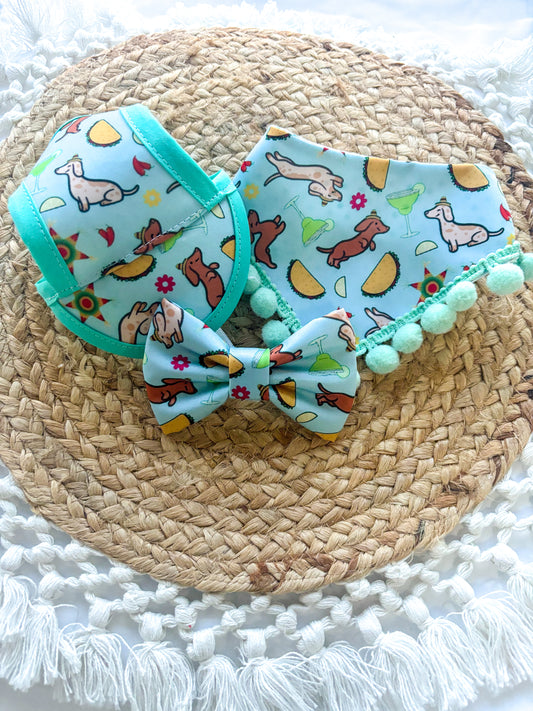 Fiesta Doxies | Bows | Bandanas| Hat  & More