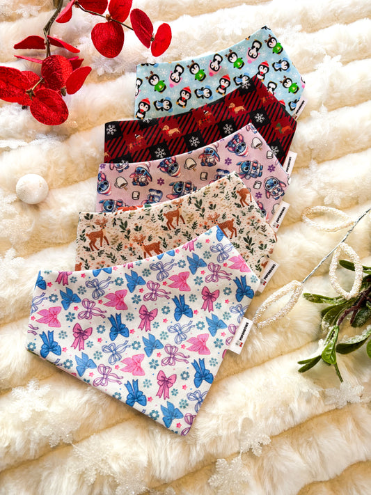 Winter Collection Disney Ears