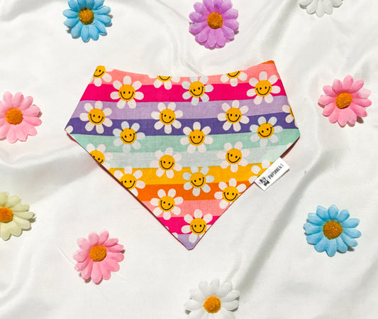 Groovy Spring | Bows | Bandanas | Butterfly Bow | Hat | Collars & More
