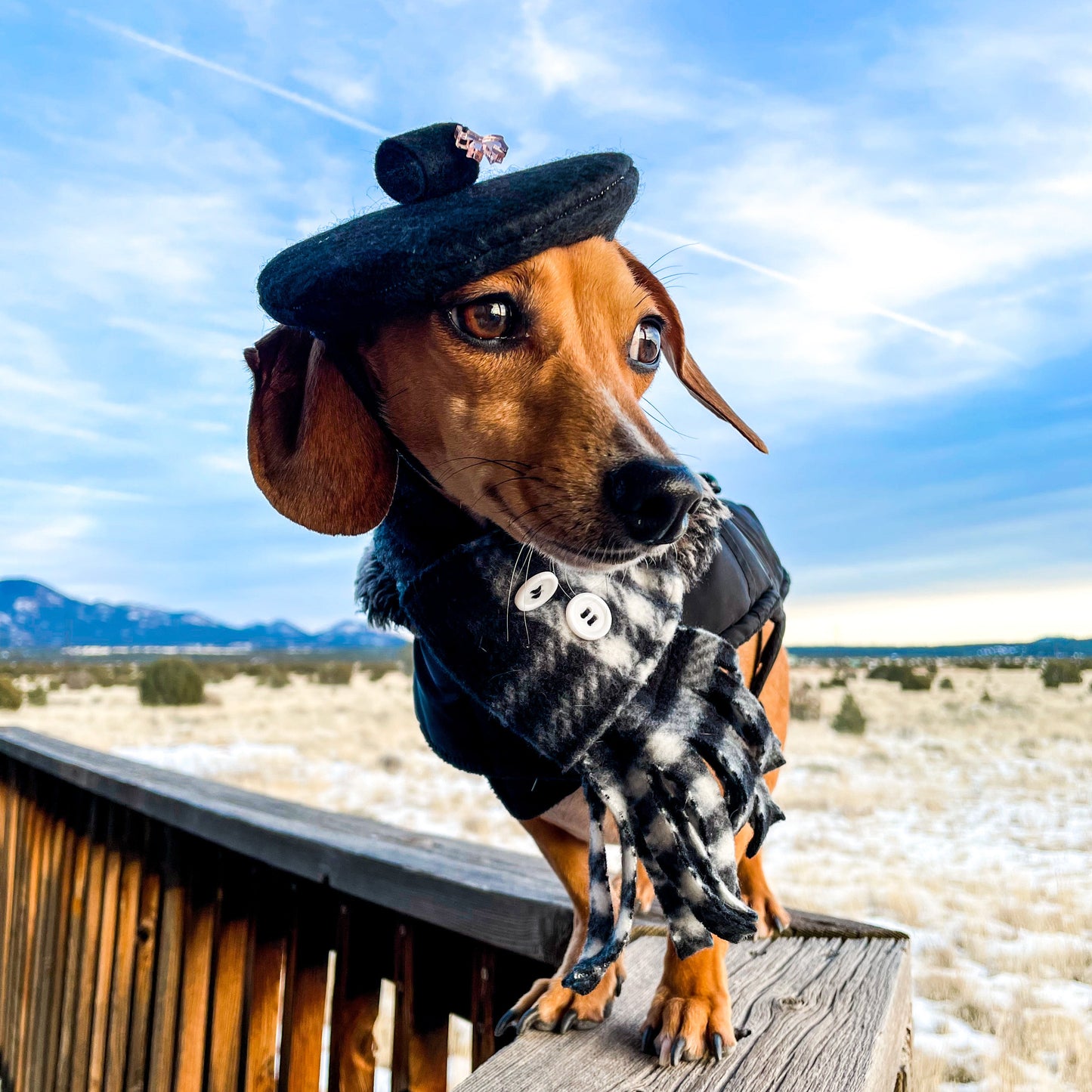 White Fur Beret Hat | Fashion Hat | Winter Outfit | Dog Hat