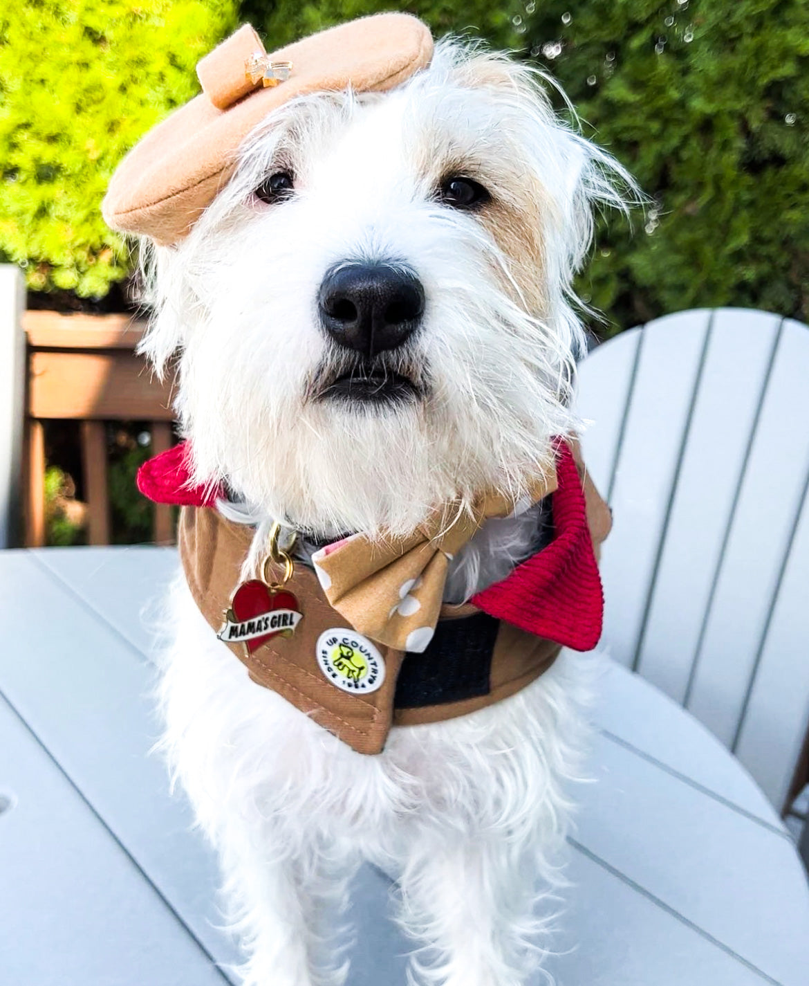 Spring Beret Hat | Fashion Hat | Dog Hat